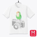 Tシャツ ★Mサイズ インコのおとちゃん×ことりちゃん ◆ゆうパケット対応◆ ことり 小鳥 ウェア Tシャツ トップス 洋服 服 半袖 コザクラインコ 村東剛【ことりちゃん】