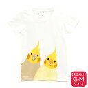 Tシャツ SMILEBIRD 《オカメインコ》 ★G-Mサイズ ガールズ 女性向け レディース ウェア トップス オカメ インコ【BIRDSTORY】