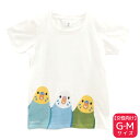Tシャツ SMILEBIRD 《セキセイインコ》 ★G-Mサイズ ガールズ 女性向け レディース ウェア トップス セキセイ インコ【BIRDSTORY】