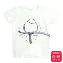Tシャツ シマエナガ ★G-Mサイズ ガールズ 女性向け レディース ウェア 洋服 ティーシャツ リラックス ルームウェア アウトドア しまえなが【BIRDSTORY】