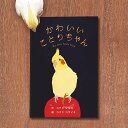 絵本　★かわいいことりちゃん　◆ゆうパケット対応◆　ことり 小鳥 ニジノ絵本屋 コナツマキコ コナツコウイチ 本 サイン入り book bird オカメインコ インコ ルチノー