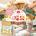 \数量限定/ことり福袋2026★うちのことほっこりシリーズ オカメインコ 全10点セット★小鳥グッズ 小鳥雑貨 雑貨 福袋 ハッピーバッグ ハッピーパック 冬の福袋 プレゼント ギフト 限定品 先行販売 2025年 福袋 2026年 冬季