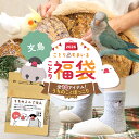 \数量限定/ことり福袋2026★うちのことほっこりシリーズ 文鳥 全10点セット★小鳥グッズ 小鳥雑貨 雑貨 福袋 ハッピーバッグ ハッピーパック 冬の福袋 プレゼント ギフト 限定品 先行販売 2025年 福袋 2026年 冬季