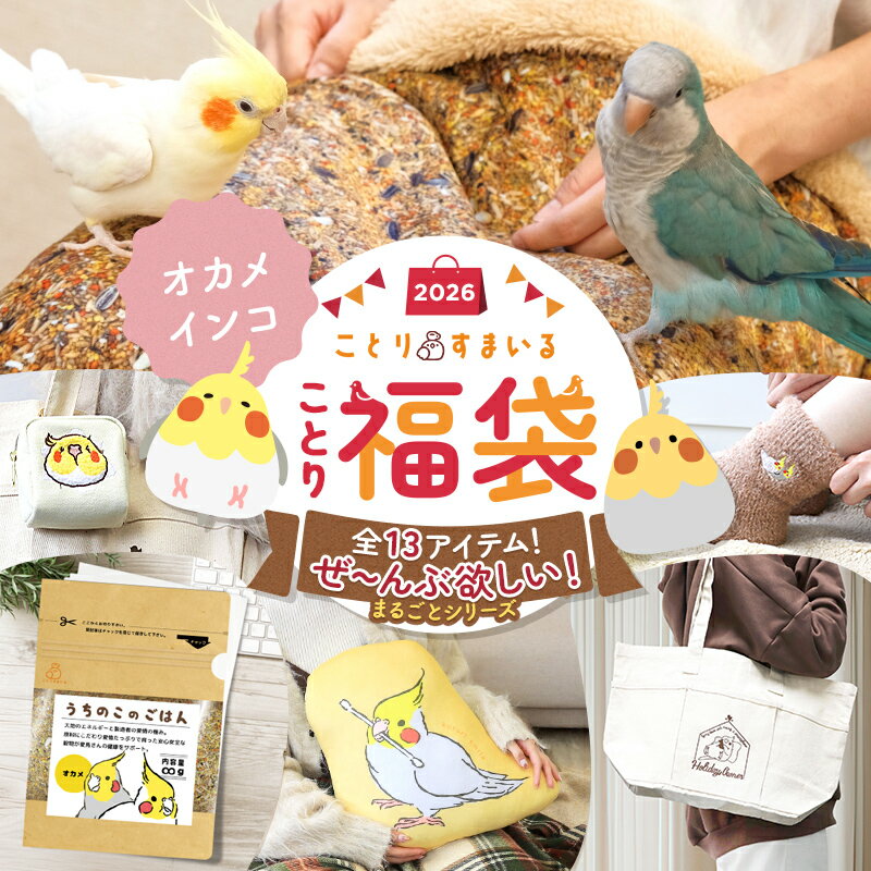 福袋 数量限定!ことり福袋!かわいい小鳥グッズが満載♪福袋の季節が今年もやってきた!