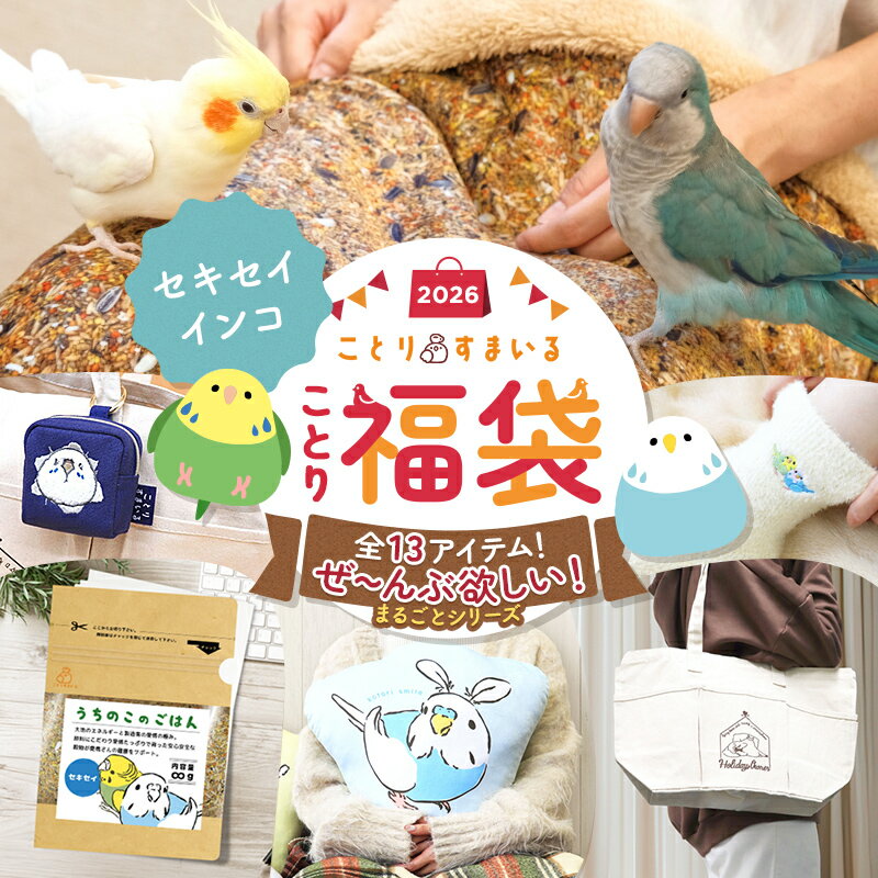 福袋 数量限定!ことり福袋!かわいい小鳥グッズが満載♪福袋の季節が今年もやってきた!