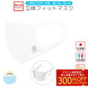 立体フィットマスク《白》 1枚 ★セキセイレインボー ◆ゆうパケット対応◆ ことり 小鳥 衛生用品 エチケット用品 マスク 衛生マスク 立体マスク 日本製 男女...