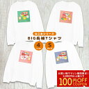 BIG長袖Tシャツ Sサイズ ◆◆ 小鳥雑貨 小鳥ウェア ルームウェア 服 ロンT 長T ことり 小鳥 長袖 部屋着 パジャマ プリント プリントT シンプル 綿 コットン キッチンカー 寝間着 なごみシリーズ ビッグ BIGシルエット デザイン インコ 文鳥 シマエナガ【ことりすまいる】