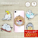 アクリルスマホグリップ ◆ゆうパケット対応◆ 小鳥グッズ 小鳥雑貨 スマホ 落下防止 スマホアクセサリー スタンド ポップアップ iphone アンドロイド スマホホルダー かわいい スマホグッズ セキセイ オカメ インコ ハシビロコウ 文鳥 シマエナガ【ことりすまいる】