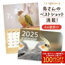 ことりすまいるカレンダー 2025年版カレンダー 壁掛けA4 ◆ゆうパケット対応◆ 令和7年 令和7年 2025年 月間カレンダー 月替わり 月めくり 小鳥グッズ 鳥 インコ 文鳥 オカメインコ セキセイインコ ウロコインコ オウム キンカチョウ 十姉妹 【ことりすまいる】
