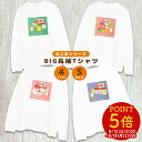 BIG長袖Tシャツ Sサイズ ◆◆ 小鳥雑貨 小鳥ウェア ルームウェア 服 ロンT 長T ことり 小鳥 長袖 部屋着 パジャマ プリント プリントT シンプル ...