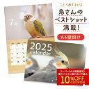 ことりすまいるカレンダー 2025年版カレンダー 壁掛けA4 ◆ゆうパケット対応◆ 令和7年 令和7年 2025年 月間カレンダー 月替わり 月めくり 小鳥グッズ 鳥 インコ 文鳥 オカメインコ セキセイインコ ウロコインコ オウム キンカチョウ 十姉妹 【ことりすまいる】