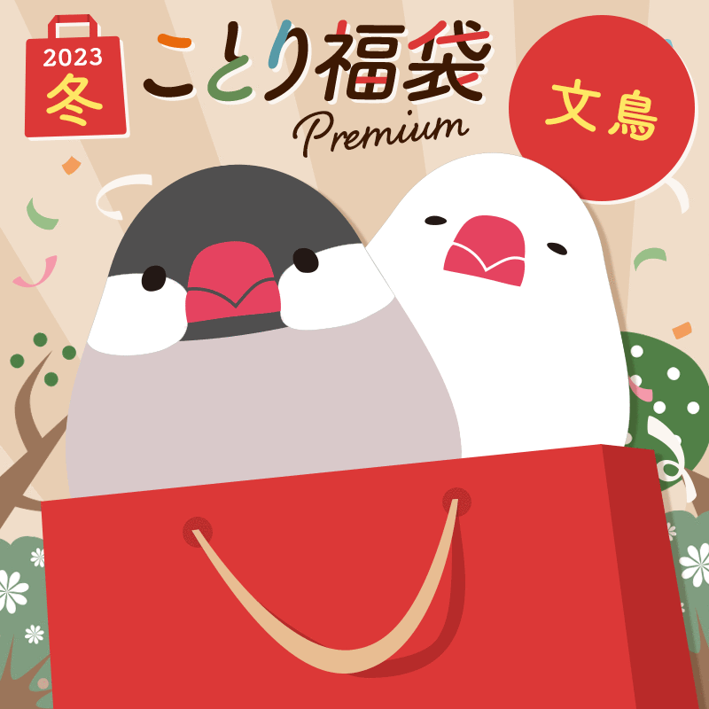 【12月21日出荷分】福袋 数量限定！ことり福袋 2023年冬 文鳥 ※福袋以外の商品の同梱不可※小鳥グッズ 小鳥雑貨 雑貨 福袋 ハッピーバッグ ハッピーパック 冬の福袋 プレゼント ギフト 限定品 先行販売 2023年 冬季のサムネイル