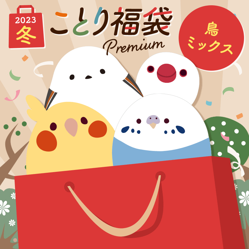 【12月21日出荷分】福袋 数量限定！ことり福袋 2023年冬 鳥ミックス ※福袋以外の商品の同梱不可※小鳥グッズ 小鳥雑貨 雑貨 福袋 ハッピーバッグ ハッピーパック 冬の福袋 プレゼント ギフト 限定品 先行販売 2023年 冬季のサムネイル