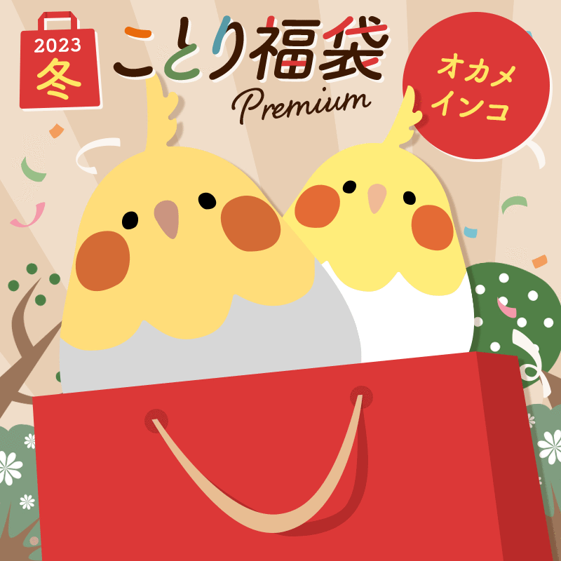 【1月10日より順次出荷】福袋 数量限定！ことり福袋 2023年冬 オカメインコ ※福袋以外の商品の同梱不可※ 小鳥グッズ 小鳥雑貨 雑貨 福袋 ハッピーバッグ ハッピーパック 冬の福袋 プレゼント ギフト 限定品 先行販売 2023年 冬季のサムネイル