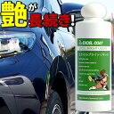 カーコーティング剤 エクセルブライトリキッド200g スポン