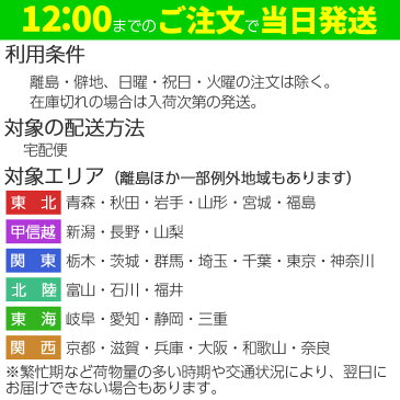 【5本セット】コンパウンド 研磨剤 業務用 水溶性コンパウンド グリーン 500ml×1本 コーティング 下地処理 ウォータースポット 水垢 雨シミ ボディ研磨 洗車用品