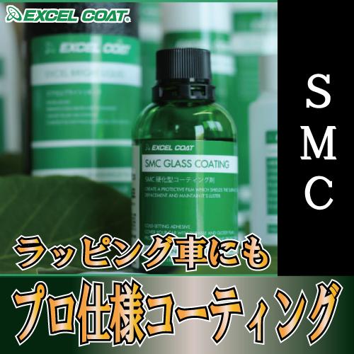 �� ���֥��å� �ץ����� �Ų��������ƥ��󥰺� SMC 60ml 10�ܥ��å� �� �����ƥ��� �ץ饤�ޡ� ���� �����ƥ��󥰺� ���ƥʥ󥹺� �������� ������ ��ư�� �Х�ѡ� �������ѥͥ� ���� ���������ƥ��� ���� �佤����