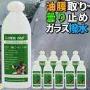 車 洗車グッズ 窓ガラス 撥水コーティング剤 200ml 10本セット スポンジ＆クロス付き 撥水コート 撥水コーティング剤 ウインドウケア 油膜落とし 油膜取り 油膜除去 カー用品 洗車用品 業務用 撥水コーティング ガラスコーティング 窓ガラス 油膜