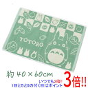 【いつでも2倍!5.0のつく日、18日は3倍!】センコー バスマット ギフト箱入り となりのトトロ おだやかトトロ 約40×60cm 59013 グリーン