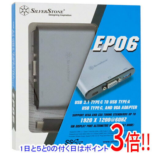 【1日と5.0のつく日、18日はポイント3倍！】SILVERSTONE 変換アダプタ SST-EP06C チャコールグレー