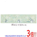 【いつでも2倍!5.0のつく日、18日は3倍!】【新品(開封のみ)】 センコー 優しい色使いのロングマット となりのトトロ よりみちトトロ 約45×180cm 53662 グリーン