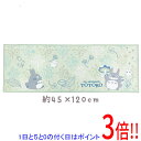 【いつでも2倍!5.0のつく日、18日は3倍!】【新品(開封のみ)】 センコー 優しい色使いのロングマット となりのトトロ よりみちトトロ 約45×120cm 53661 グリーン