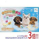 【中古】なかよしペットアドバンスシリーズ4 かわいい仔犬ミニ〜わんこと遊ぼう!〜小型犬 GBA 外箱いたみ