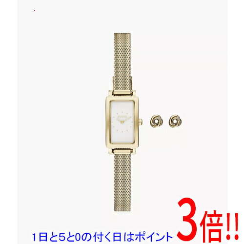 SKAGEN - 【1日と5.0のつく日、18日はポイント3倍！】スカーゲン 腕時計 HAGEN MICRO GIFT SET SKW1158SET