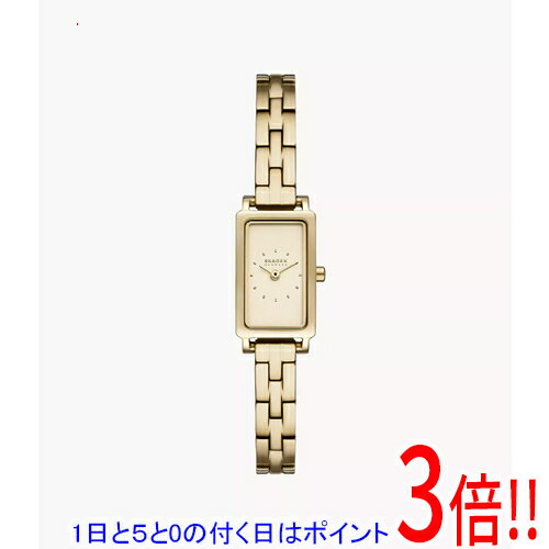 【1日と5.0のつく日、18日はポイント3倍！】スカーゲン 腕時計 HAGEN MICRO SKW3154