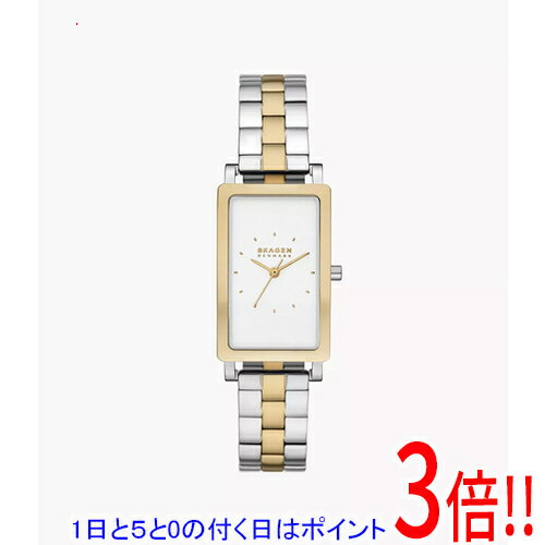 SKAGEN - 【1日と5.0のつく日、18日はポイント3倍！】スカーゲン 腕時計 HAGEN LILLE SKW3156