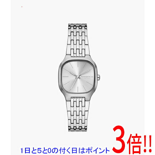 【1日と5.0のつく日、18日はポイント3倍！】スカーゲン 腕時計 MELLEM LILLE SKW3159