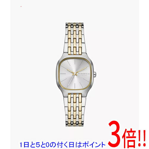 【1日と5.0のつく日、18日はポイント3倍！】スカーゲン 腕時計 MELLEM LILLE SKW3160