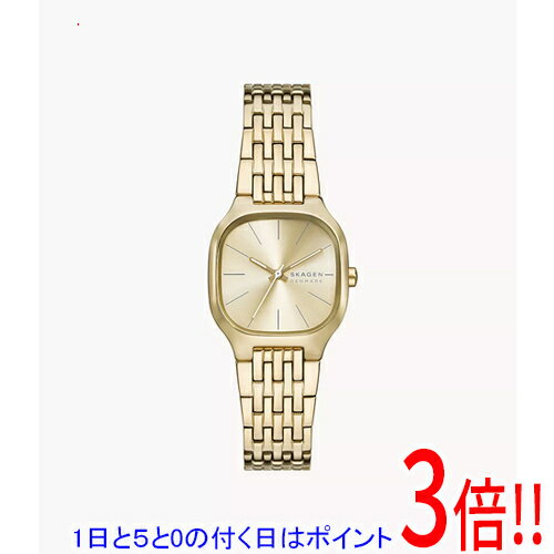 OMEGA - 【1日と5.0のつく日、18日はポイント3倍！】スカーゲン 腕時計 MELLEM LILLE SKW3162