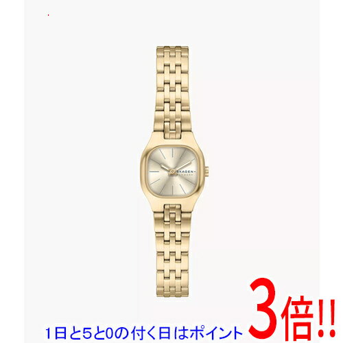 【1日と5.0のつく日、18日はポイント3倍！】スカーゲン 腕時計 MELLEM MICRO SKW3177