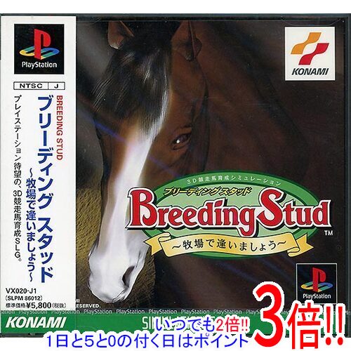 【いつでも2倍！1日と5．0のつく日は3倍！18日も3倍！】ブリーディングスタッド ～牧場で逢いましよう～ PS
