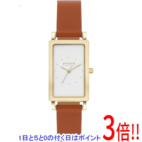 【1日と5.0のつく日、18日はポイント3倍！】スカーゲン 腕時計 HAGEN LILLE SKW3097