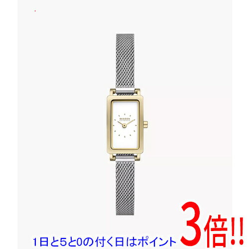 【いつでも2倍！5.0のつく日、18日は3倍！】スカーゲン 腕時計 HAGEN MICRO SKW3147