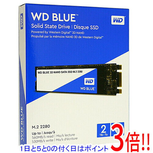 【1日と5.0のつく日、18日はポイント3倍！】Western Digital製 SSD WD Blue 3D NAND SATA WDS200T2B0B-EC 2TB