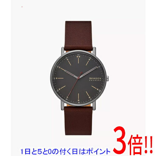 【1日と5.0のつく日、18日はポイント3倍！】スカーゲン 腕時計 SIGNATUR SKW6860