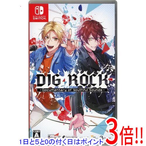 DIG-ROCK - Documentary of Youthful Sounds - Nintendo Switch