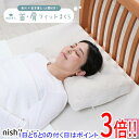【いつでも2倍!5.0のつく日、18日は3倍!】西川 睡眠博士 首肩フィット枕 医学博士と共同開発 高さ調節可能 低め EH93009547L(3)