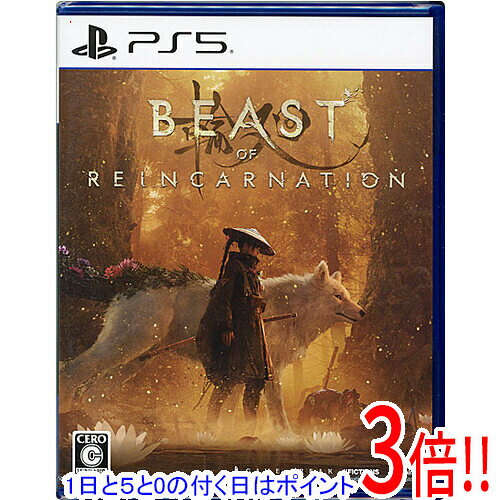 商品名Beast of Reincarnation(ビースト・オブ・リンカネーション) PS5商品状態新品です。※本商品は、製品の性質上、開封後の返品はお受けできませんのでご了承ください。仕様ジャンル アクションRPGCERO 「C」15歳以上対象プレイ人数 1人その他※掲載画像は代表画像です。実際の商品と細部が異なる場合がございますので、商品状態につきましては表記の内容をご確認ください。※返品についてはこちらをご覧ください。※プロダクトコードなどのコード付き商品について 有効期限の記載がない商品は有効期限が終了している場合があります。 有効期限につきましては、メーカーにてご確認ください。　