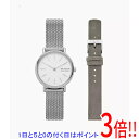 【いつでも2倍!5.0のつく日、18日は3倍!】スカーゲン 腕時計 SIGNATUR LILLE SKW3161SET(2)