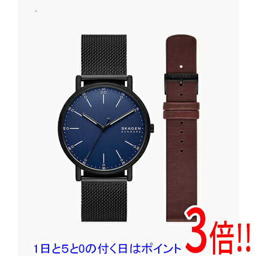 【1日と5.0のつく日、18日はポイント3倍！】スカーゲン 腕時計 SIGNATUR SKW6933SET