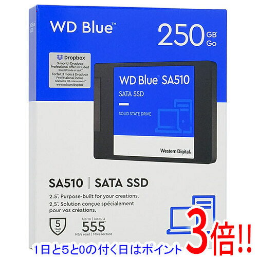 楽天市場】ssd wd blue 250gbの通販