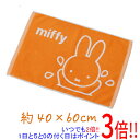 【いつでも2倍!5.0のつく日、18日は3倍!】センコー バスマット ギフト箱入り ミッフィー 水遊びミッフィー 約40×60cm 59016 オレンジ