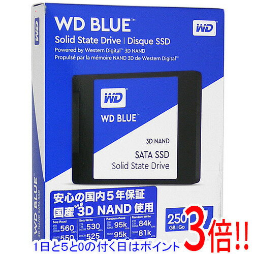 乐天商城 - 【1日と5.0のつく日、18日はポイント3倍！】Western Digital製 内蔵SSD 250GB WD Blue 3D NAND SATA WDS250G2B0A