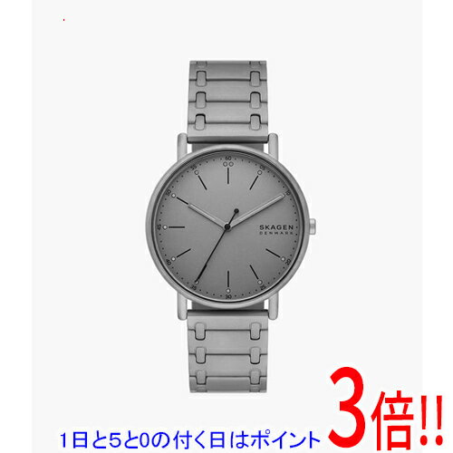 スカーゲン 腕時計 Signatur SKW6913