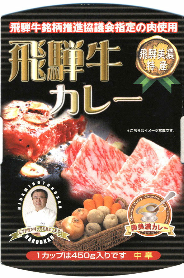 覇楼館飛騨牛カレー2人前450g2個入りギフトセット【代引きは出来ません】