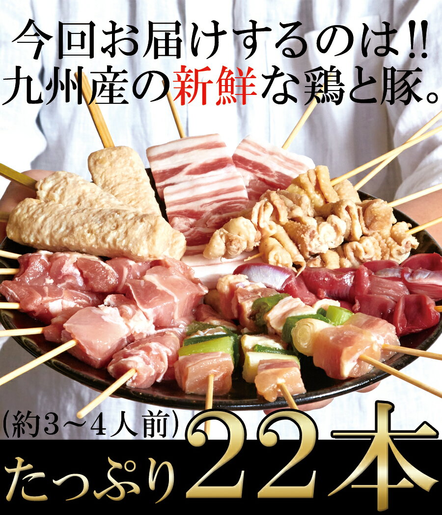 手刺しにこだわった本格派!!国産産焼き鳥セット22本入り